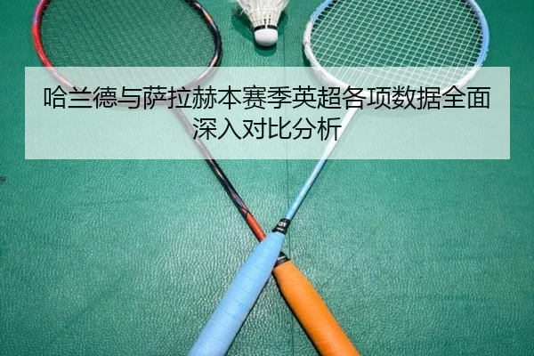 哈兰德与萨拉赫本赛季英超各项数据全面深入对比分析